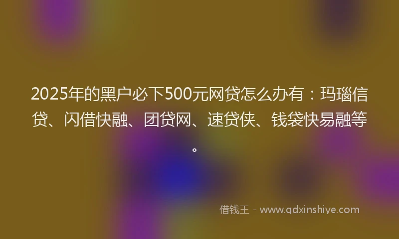 2025年的黑户必下500元网贷怎么办有：玛瑙信贷、闪借快融、团贷网、速贷侠、钱袋快易融等。