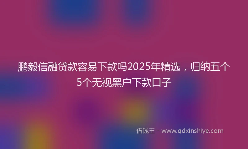 鹏毅信融贷款容易下款吗2025年精选，归纳五个5个无视黑户下款口子