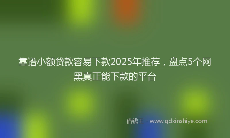 靠谱小额贷款容易下款2025年推荐，盘点5个网黑真正能下款的平台