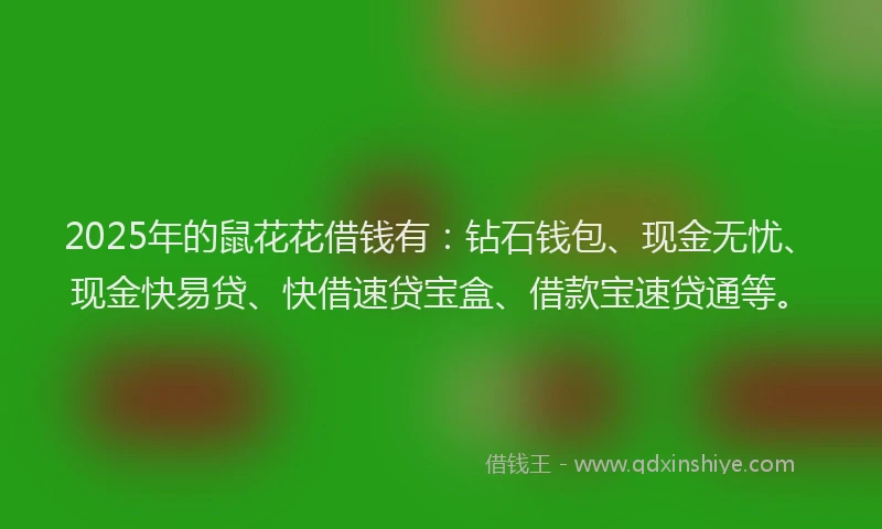 2025年的鼠花花借钱有：钻石钱包、现金无忧、现金快易贷、快借速贷宝盒、借款宝速贷通等。