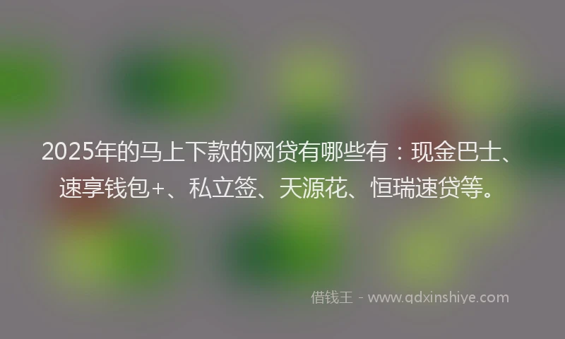 2025年的马上下款的网贷有哪些有：现金巴士、速享钱包+、私立签、天源花、恒瑞速贷等。