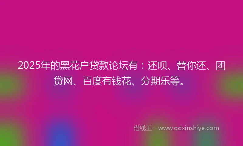 2025年的黑花户贷款论坛有：还呗、替你还、团贷网、百度有钱花、分期乐等。