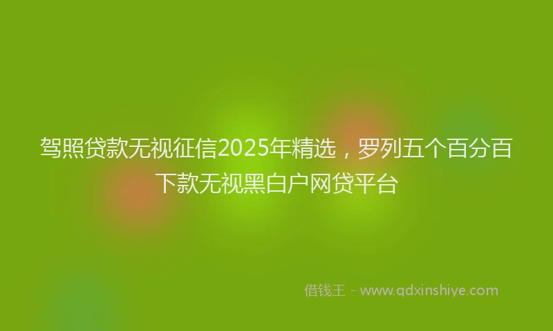 驾照贷款无视征信2025年精选，罗列五个百分百下款无视黑白户网贷平台