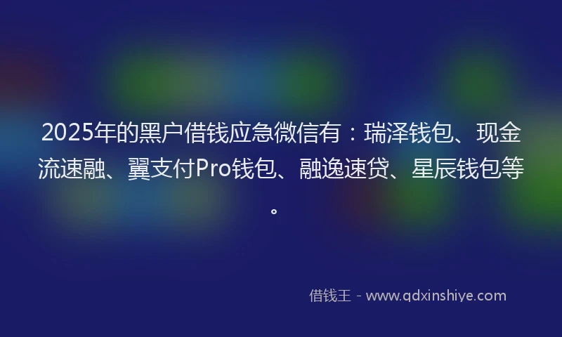 2025年的黑户借钱应急微信有:瑞泽钱包、现金流速融、翼支付Pro钱包、融逸速贷、星辰钱包等。