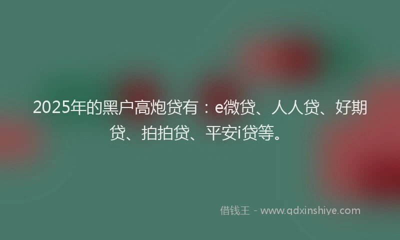 2025年的黑户高炮贷有：e微贷、人人贷、好期贷、拍拍贷、平安i贷等。