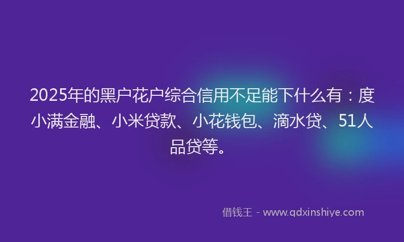 2025年的黑户花户综合信用不足能下什么有：度小满金融、小米贷款、小花钱包、滴水贷、51人品贷等。