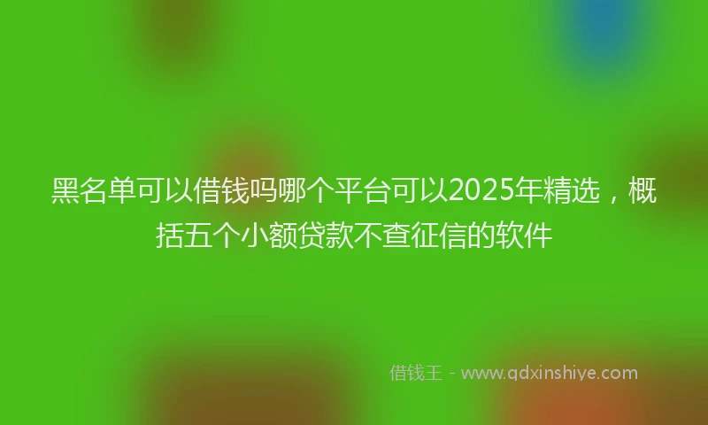 黑名单可以借钱吗哪个平台可以2025年精选，概括五个小额贷款不查征信的软件