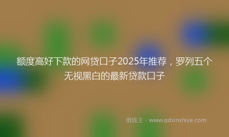 额度高好下款的网贷口子2025年推荐，罗列五个无视黑白的最新贷款口子