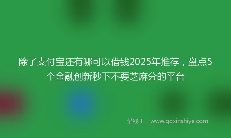 除了支付宝还有哪可以借钱2025年推荐，盘点5个金融创新秒下不要芝麻分的平台