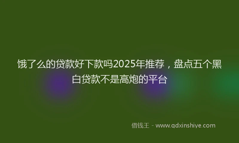 饿了么的贷款好下款吗2025年推荐，盘点五个黑白贷款不是高炮的平台