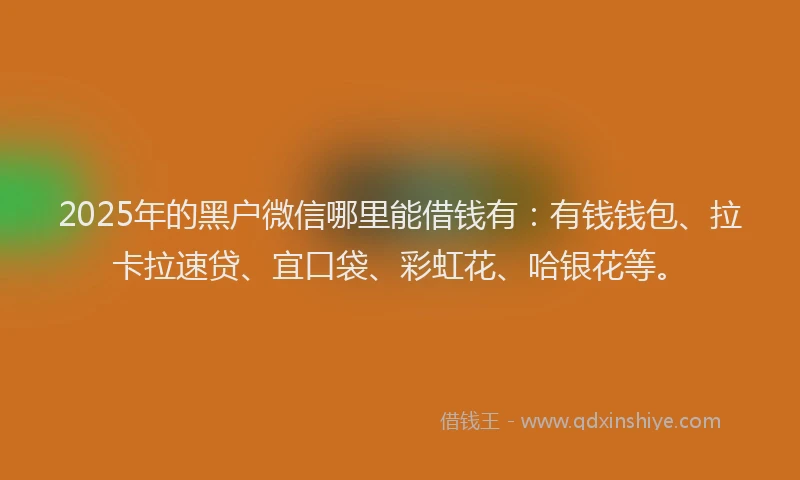 2025年的黑户微信哪里能借钱有：有钱钱包、拉卡拉速贷、宜口袋、彩虹花、哈银花等。
