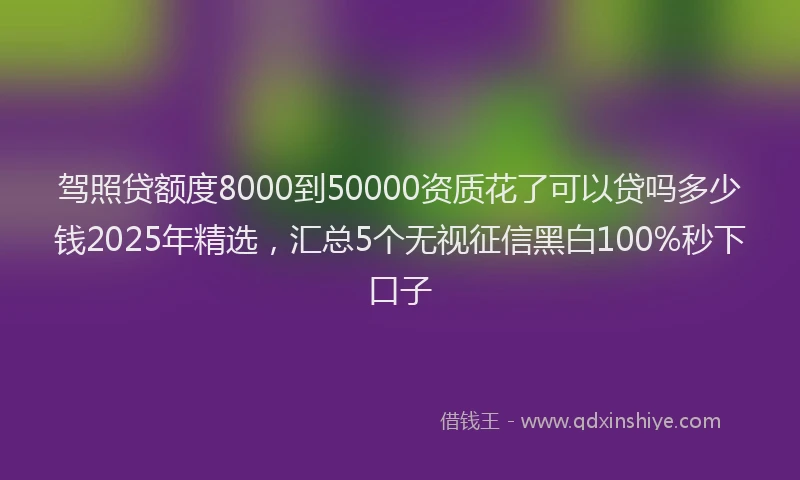 驾照贷额度8000到50000资质花了可以贷吗多少钱2025年精选，汇总5个无视征信黑白100%秒下口子