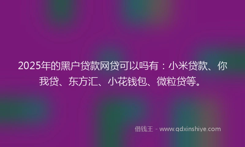 2025年的黑户贷款网贷可以吗有：小米贷款、你我贷、东方汇、小花钱包、微粒贷等。