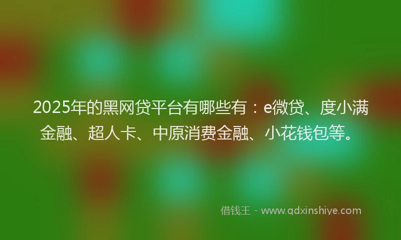 2025年的黑网贷平台有哪些有：e微贷、度小满金融、超人卡、中原消费金融、小花钱包等。