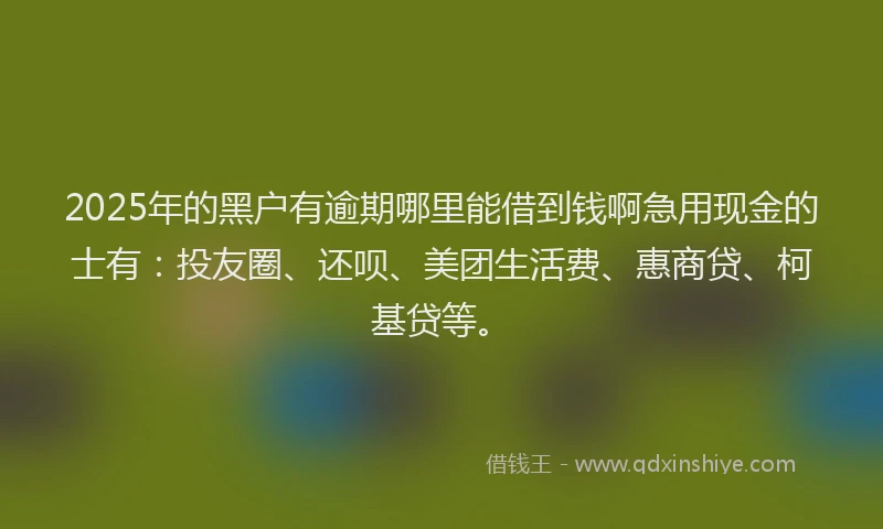 2025年的黑户有逾期哪里能借到钱啊急用现金的士有：投友圈、还呗、美团生活费、惠商贷、柯基贷等。