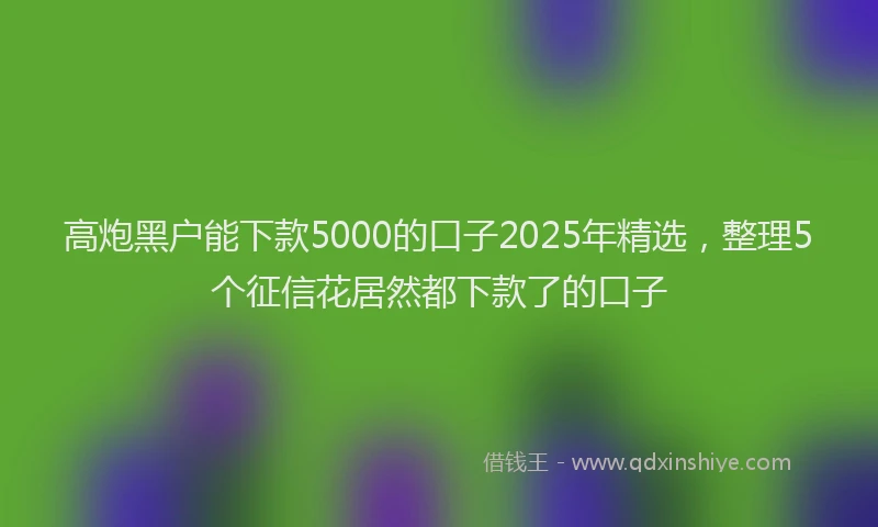 高炮黑户能下款5000的口子2025年精选，整理5个征信花居然都下款了的口子