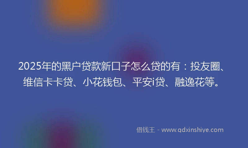 2025年的黑户贷款新口子怎么贷的有：投友圈、维信卡卡贷、小花钱包、平安i贷、融逸花等。