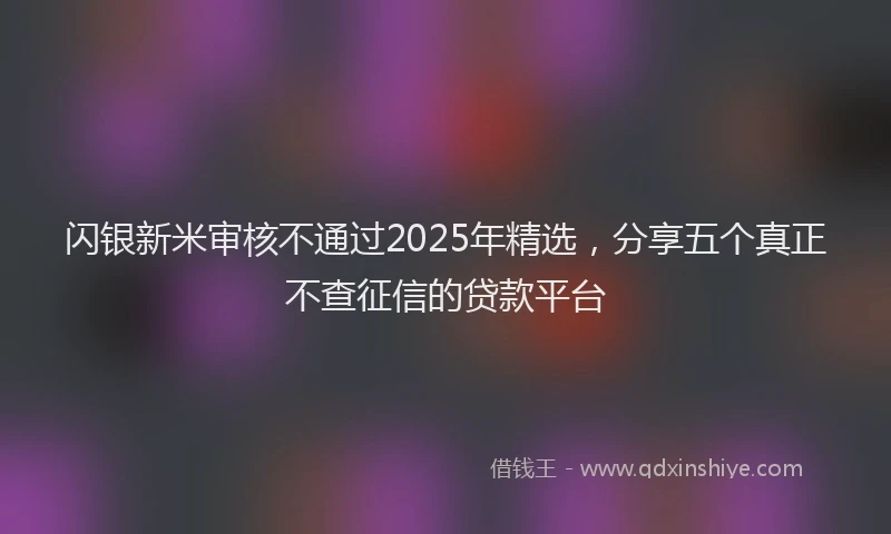 闪银新米审核不通过2025年精选，分享五个真正不查征信的贷款平台