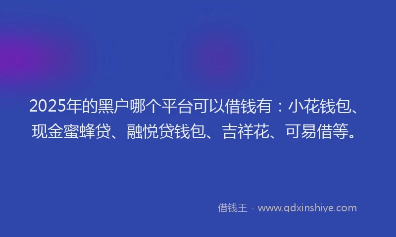 2025年的黑户哪个平台可以借钱有：小花钱包、现金蜜蜂贷、融悦贷钱包、吉祥花、可易借等。