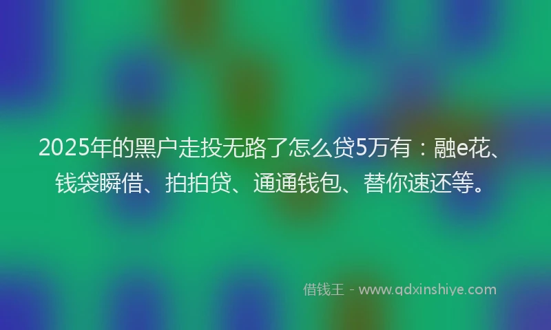 2025年的黑户走投无路了怎么贷5万有：融e花、钱袋瞬借、拍拍贷、通通钱包、替你速还等。