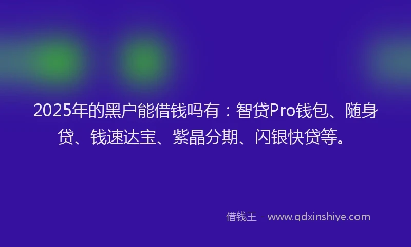 2025年的黑户能借钱吗有：智贷Pro钱包、随身贷、钱速达宝、紫晶分期、闪银快贷等。