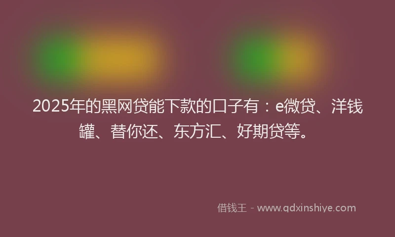 2025年的黑网贷能下款的口子有：e微贷、洋钱罐、替你还、东方汇、好期贷等。
