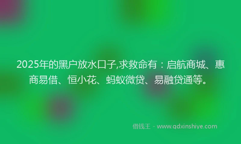 2025年的黑户放水口子,求救命有：启航商城、惠商易借、恒小花、蚂蚁微贷、易融贷通等。