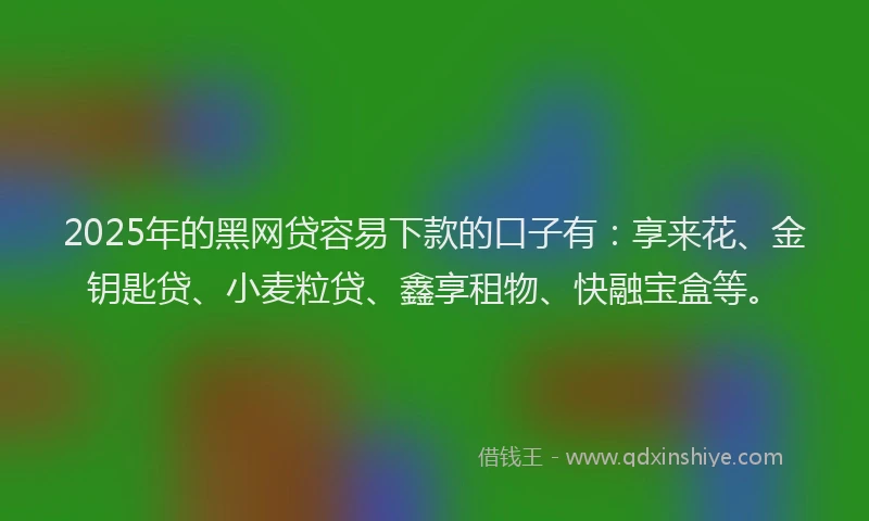 2025年的黑网贷容易下款的口子有：享来花、金钥匙贷、小麦粒贷、鑫享租物、快融宝盒等。