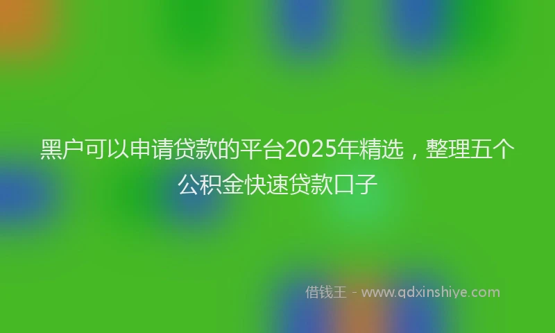 黑户可以申请贷款的平台2025年精选，整理五个公积金快速贷款口子