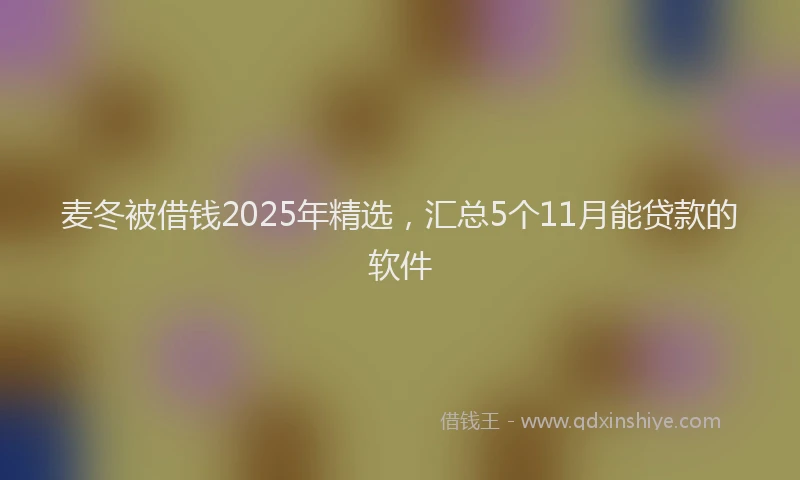 麦冬被借钱2025年精选，汇总5个11月能贷款的软件