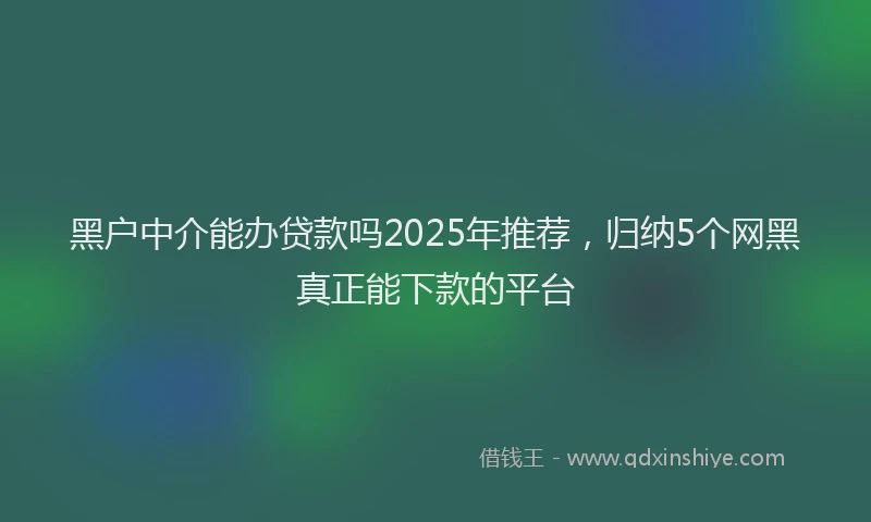 黑户中介能办贷款吗2025年推荐，归纳5个网黑真正能下款的平台