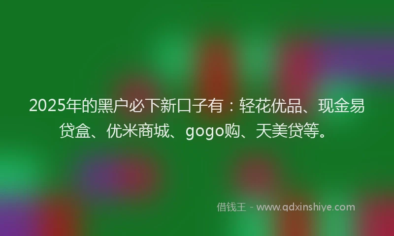 2025年的黑户必下新口子有：轻花优品、现金易贷盒、优米商城、gogo购、天美贷等。
