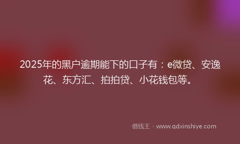 2025年的黑户逾期能下的口子有：e微贷、安逸花、东方汇、拍拍贷、小花钱包等。