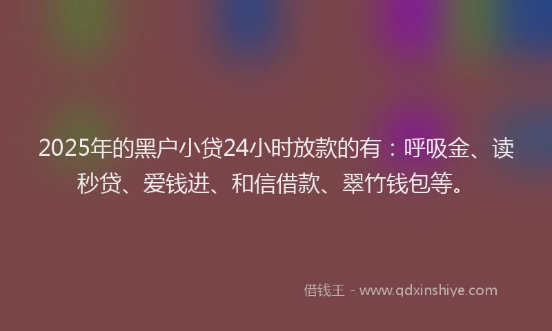 2025年的黑户小贷24小时放款的有：呼吸金、读秒贷、爱钱进、和信借款、翠竹钱包等。