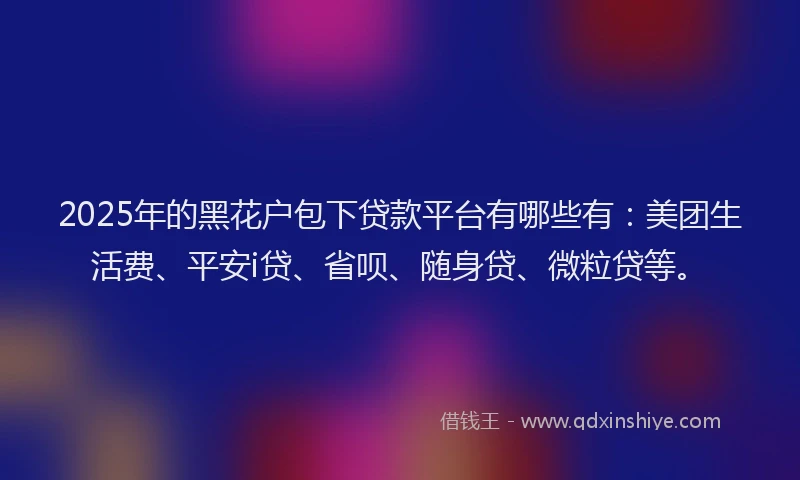 2025年的黑花户包下贷款平台有哪些有：美团生活费、平安i贷、省呗、随身贷、微粒贷等。