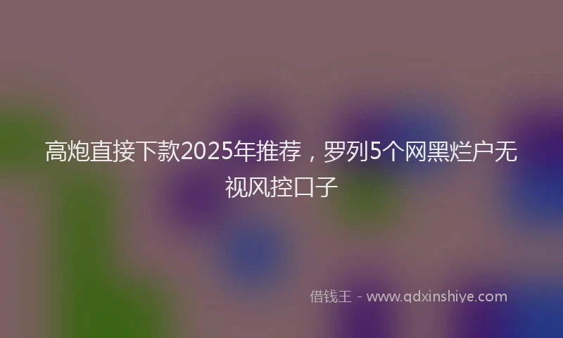 高炮直接下款2025年推荐，罗列5个网黑烂户无视风控口子