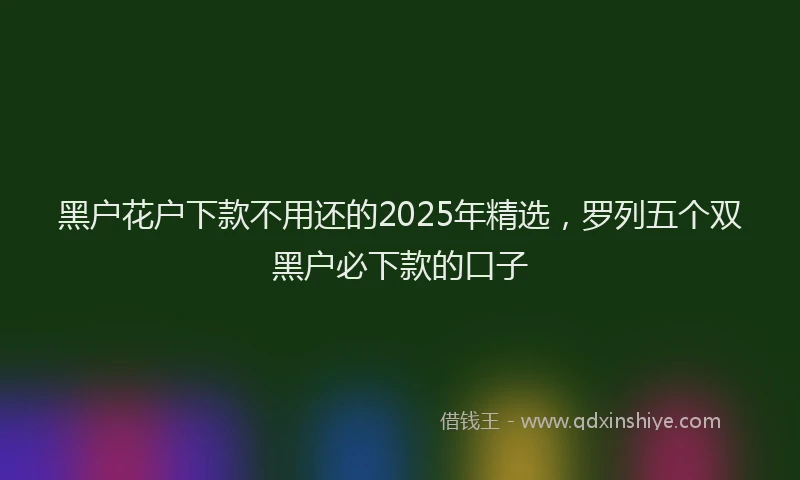 黑户花户下款不用还的2025年精选，罗列五个双黑户必下款的口子