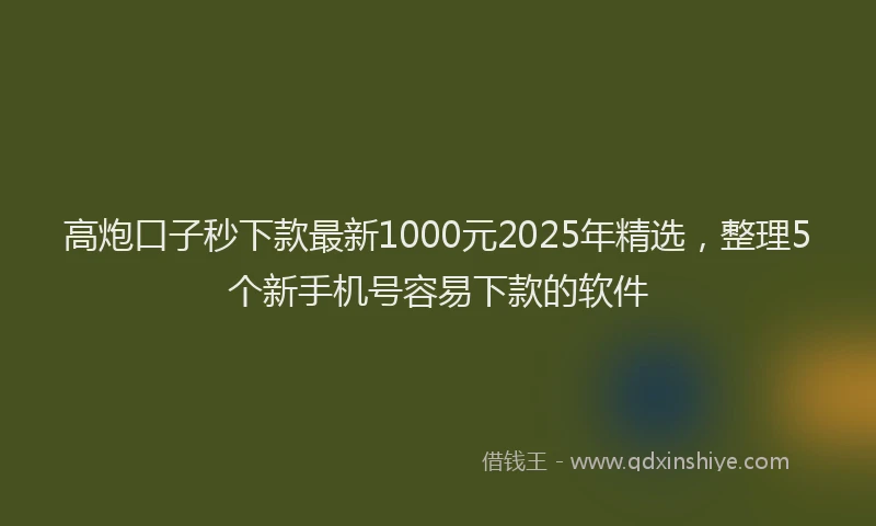 高炮口子秒下款最新1000元2025年精选，整理5个新手机号容易下款的软件