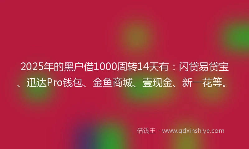 2025年的黑户借1000周转14天有：闪贷易贷宝、迅达Pro钱包、金鱼商城、壹现金、新一花等。
