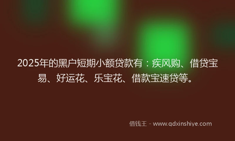 2025年的黑户短期小额贷款有：疾风购、借贷宝易、好运花、乐宝花、借款宝速贷等。