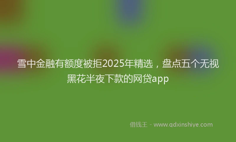 雪中金融有额度被拒2025年精选，盘点五个无视黑花半夜下款的网贷app