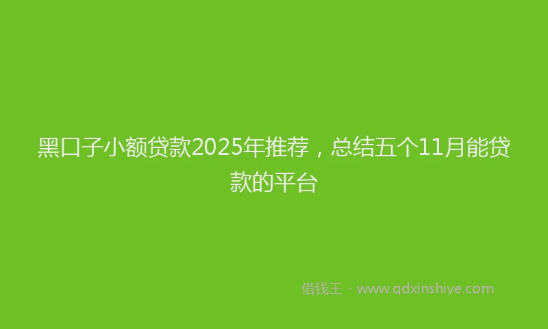 黑口子小额贷款2025年推荐，总结五个11月能贷款的平台