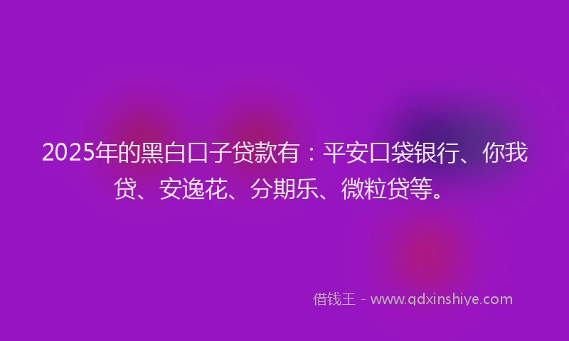 2025年的黑白口子贷款有：平安口袋银行、你我贷、安逸花、分期乐、微粒贷等。