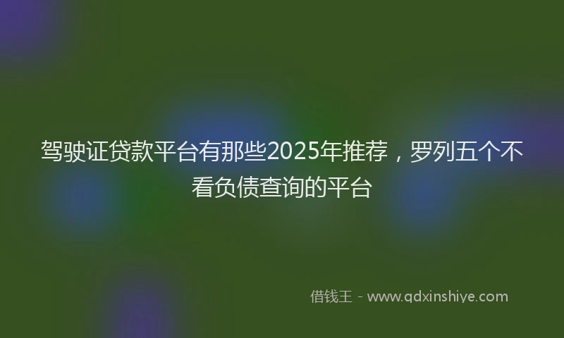 驾驶证贷款平台有那些2025年推荐，罗列五个不看负债查询的平台