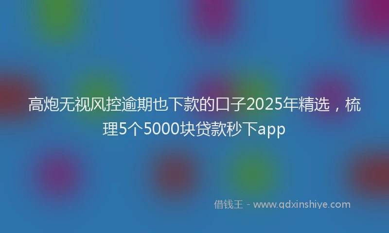 高炮无视风控逾期也下款的口子2025年精选，梳理5个5000块贷款秒下app