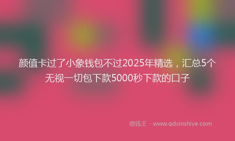 颜值卡过了小象钱包不过2025年精选，汇总5个无视一切包下款5000秒下款的口子