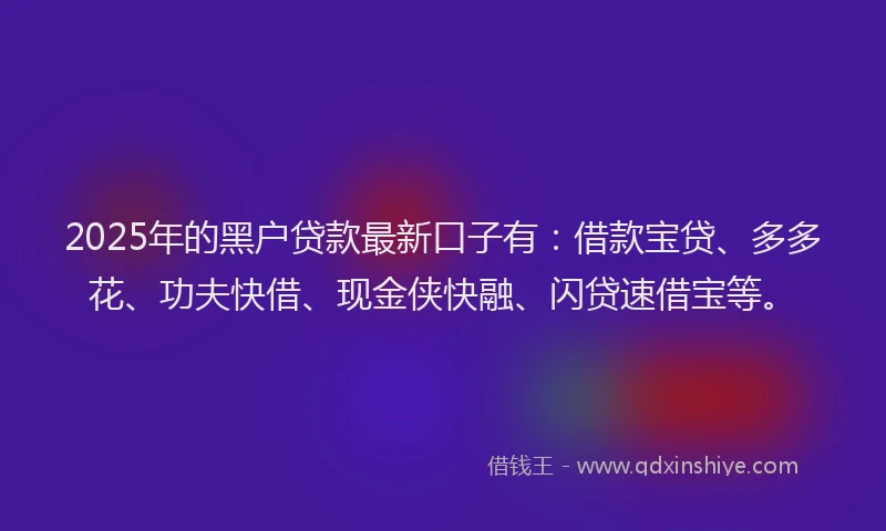 2025年的黑户贷款最新口子有：借款宝贷、多多花、功夫快借、现金侠快融、闪贷速借宝等。