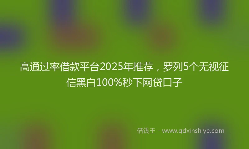 高通过率借款平台2025年推荐，罗列5个无视征信黑白100%秒下网贷口子
