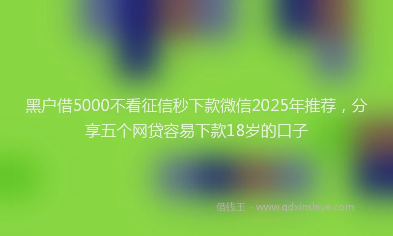 黑户借5000不看征信秒下款微信2025年推荐，分享五个网贷容易下款18岁的口子