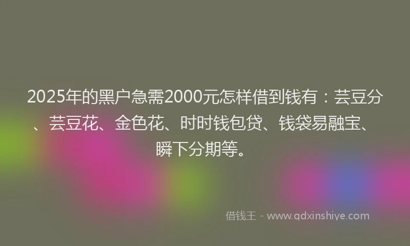 2025年的黑户急需2000元怎样借到钱有：芸豆分、芸豆花、金色花、时时钱包贷、钱袋易融宝、瞬下分期等。
